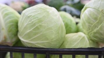 Close up of fresh whit cabbage in crate. Organic vegetables. Trading on the street from a tray. Healthy eating concept. Small farm business support. . Selective focus, slow motion video