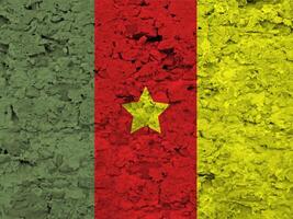 Cameroon flag with texture photo