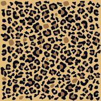 Leopard background. Bright background. Simple spotted background. vector