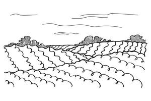 Abstract sketch with vineyards, hills, trees. Hand drawn background with Landscape of Italian province of Tuscany or French fields, nature motif. Isolated illustration for card, label, paper vector