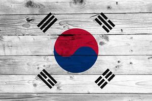 sur Corea bandera con textura foto