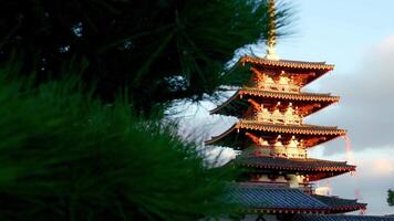 cinque leggendario pagoda a shitennoji tempio nel osaka, Giappone video