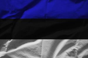 Estonia bandera con textura foto