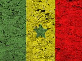 Senegal flag with texture photo