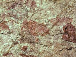 Stone texture of various colors photo