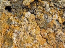 Stone texture of various colors photo