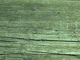 Wooden texture of various colors photo