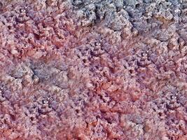 Stone texture of various colors photo