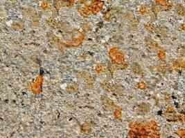 Stone texture of various colors photo