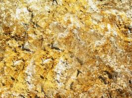 Stone texture of various colors photo
