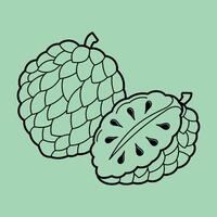 Line Art Outline Slice Tropical Exotic Fruits vector