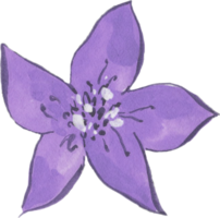 astratto fiore botanico fiorire carino kawaii isolato elementi png