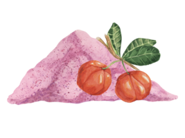 acerola röd körsbär och rosa pulver exotisk tropisk frukt ClipArt med löv. smoothie hälsosam ingrediens vattenfärg illustration. superfood vitamin c för skriva ut, förpackning, märka, mat tillägg png