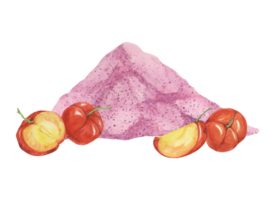 Acerola slices and pink powder, red Barbados cherry tropical fruits clipart with leaves. Smoothie ingredient watercolor illustration. Superfood vitamin C for print, packaging, labels, food supplements png