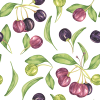 Maqui berry, purple pink fruit seamless pattern with leaves. Aristotelia chilensis textile watercolor ornament clipart. Vibrant Chilean wineberry print for clothing, paper, scrapbooking, wallpaper png