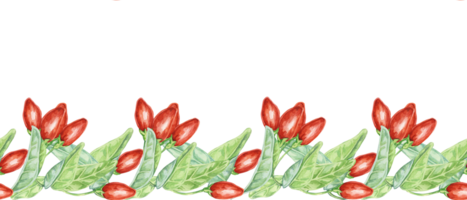 goji bagas desatado fronteira, fita clipart. Lício barbarum vermelho bagas frutas, folhas. botânico floral ilustração para embalagem, washi fita, rótulos, presente, beleza, bandeira, cosméticos, Comida png