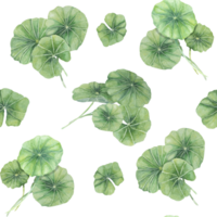 Green centella asiatica seamless pattern, vibrant foliage textile, greenery clipart. Watercolor gotu kola botanical print design for clothes, wallpaper, wrapping paper, scrapbooking, apparel, beauty png