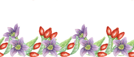 goji bessen bloemen naadloos grens, lint clip art. lilium barbarum rood bessen fruit, bladeren. botanisch bloemen illustratie voor verpakking, washi plakband, etiketten, geschenk, schoonheid, banier, cosmetica, voedsel png