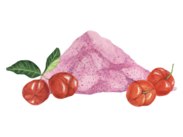 acérola rouge cerises et rose poudre exotique tropical des fruits clipart avec feuilles. smoothie sain ingrédient aquarelle illustration. superaliment vitamine c pour imprimer, emballage, étiqueter, nourriture supplément png