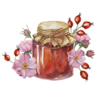 Rose hip jam in glass jar with canvas burlap fabric lid and twine rope bow. German fruit preserve jelly watercolor illustration for printing, food packaging, labels, cards, stickers, scrapbooking png