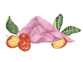 Acerola slices and pink powder, red Barbados cherry tropical fruits clipart with leaves. Smoothie ingredient watercolor illustration. Wholesome superfood for print, packaging, labels, food supplements png