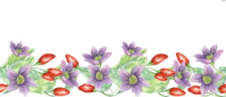 goji bär blommor sömlös gräns, band ClipArt. licium barbarum röd bär frukter, löv. botanisk blommig illustration för förpackning, washi tejp, etiketter, gåva, skönhet, baner, kosmetika, mat png