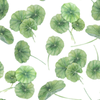 Green centella asiatica seamless pattern, vibrant foliage textile, greenery clipart. Watercolor gotu kola botanical print design for clothes, wallpaper, wrapping paper, scrapbooking, apparel, beauty png