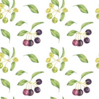 Maqui berry, purple pink fruit seamless pattern with leaves. Aristotelia chilensis textile watercolor ornament clipart. Vibrant Chilean wineberry print for clothing, paper, scrapbooking, wallpaper png