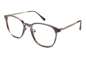 modern Brille isoliert auf Hintergrund png