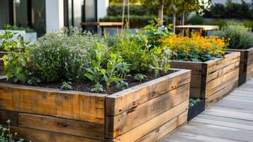 de madera elevado camas en moderno urbano jardín con creciente plantas flores hierbas especias y vegetales. foto