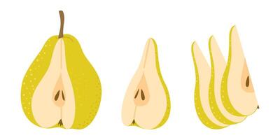 Fresh ripe Pear slice icon. Healthy vegetarian snack, cut Pear for design, infographic. Sliced on pieces Pear. Hand drawn trendy flat style isolated on white illustration vector