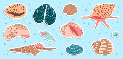 Cute sea shells sticker set. Trendy flat style seashell collection. Ocean underwater sink seashell conch aquatic mollusk. Hand drawn cartoon spiral snail, marine animals illustration vector