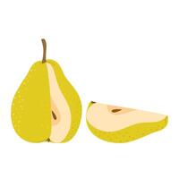 Cut green pear with pear wedge cartoon set. Cross section of cut pear, slices fruit, Hand drawn trendy flat style isolated on white illustration vector