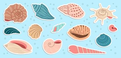 Cute sea shells sticker set. Trendy flat style seashell collection. Ocean underwater sink seashell conch aquatic mollusk. Hand drawn cartoon spiral snail, marine animals illustration vector