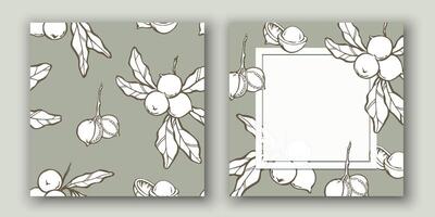 Macadamia nuts background design with hand drawn doodle elements and frame with copy space vector