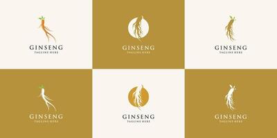 ginseng logo herbal plant natural herbal medicine ginseng herbal icon bundle Premium vector