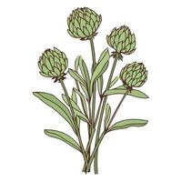 un icono representando alcachofa flor cabezas, ideal para ilustrando verduras, jardinería, o sano comida temas vector