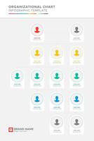 Organizational Chart, Tree Diagram, Dendrogram Business Infographic Template Design vector