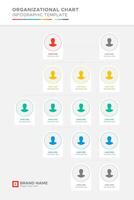 Organizational Chart, Tree Diagram, Dendrogram Business Infographic Template Design vector