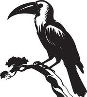 Hornbill Silhouette Illustration White Background vector