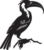 Hornbill Silhouette Illustration White Background vector