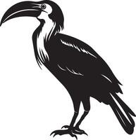 Hornbill Silhouette Illustration White Background vector