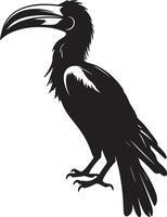 Hornbill Silhouette Illustration White Background vector