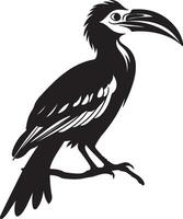 Hornbill Silhouette Illustration White Background vector