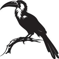 Hornbill Silhouette Illustration White Background vector