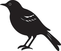 Cuckoo Silhouette Illustration White Background vector