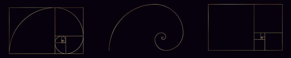 golden ratio isolated spiral. Golden section with in gold vector