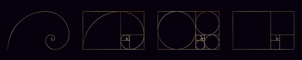 golden ratio isolated spiral. Golden section with in gold vector