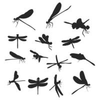 set of dragonfly silhouettes, insects, on white background vector