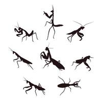 Praying mantis silhouette with many options, Illustration of various styles of grasshoppers, insect lovers vector